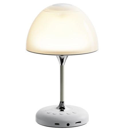 Speaker Desk Lamp JY85 White-Only Supports Self